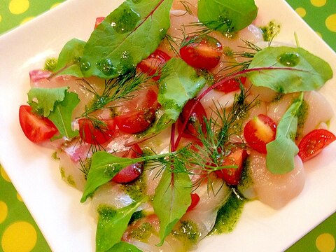 白身魚のカルパッチョ☆バジルソース